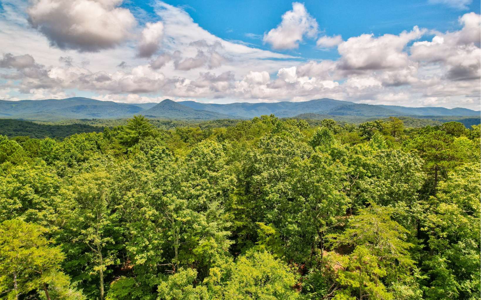 Jasper, Georgia, 30143, United States, ,Residential,For Sale,1916638