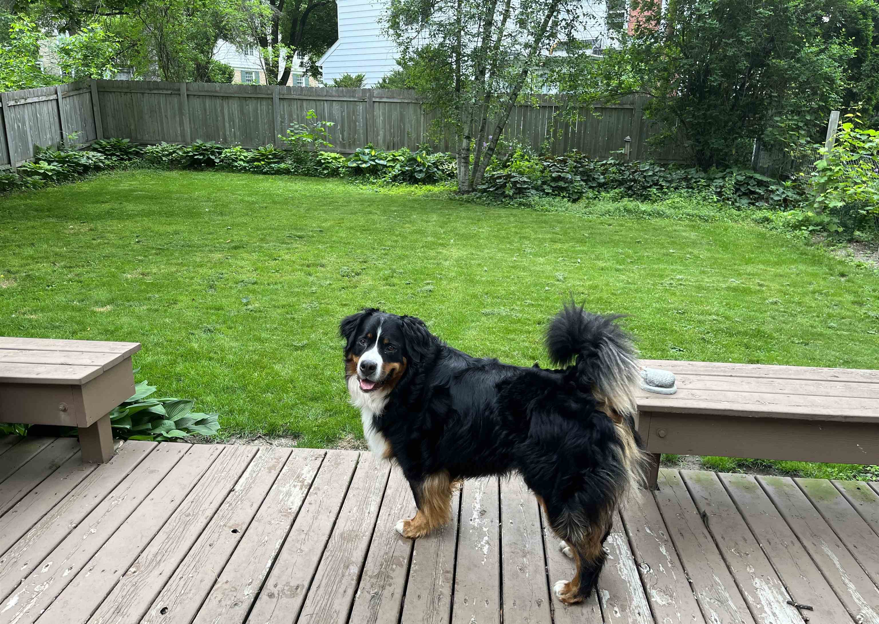 Madison, Wisconsin, 53711, United States, 3 Bedrooms Bedrooms, ,3 BathroomsBathrooms,Residential,For Sale,2005749