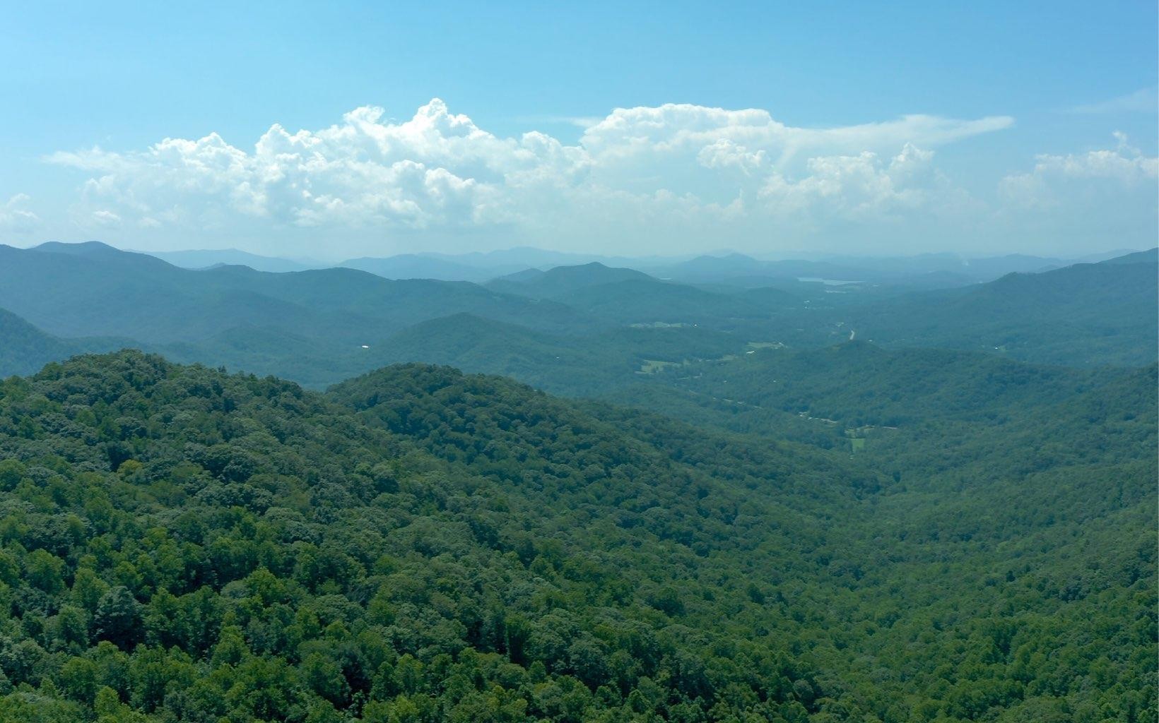 101ac Lori'S Mountain, Hayesville, North Carolina, 28904, United States, ,Residential,For Sale,101ac Lori'S Mountain,1304629