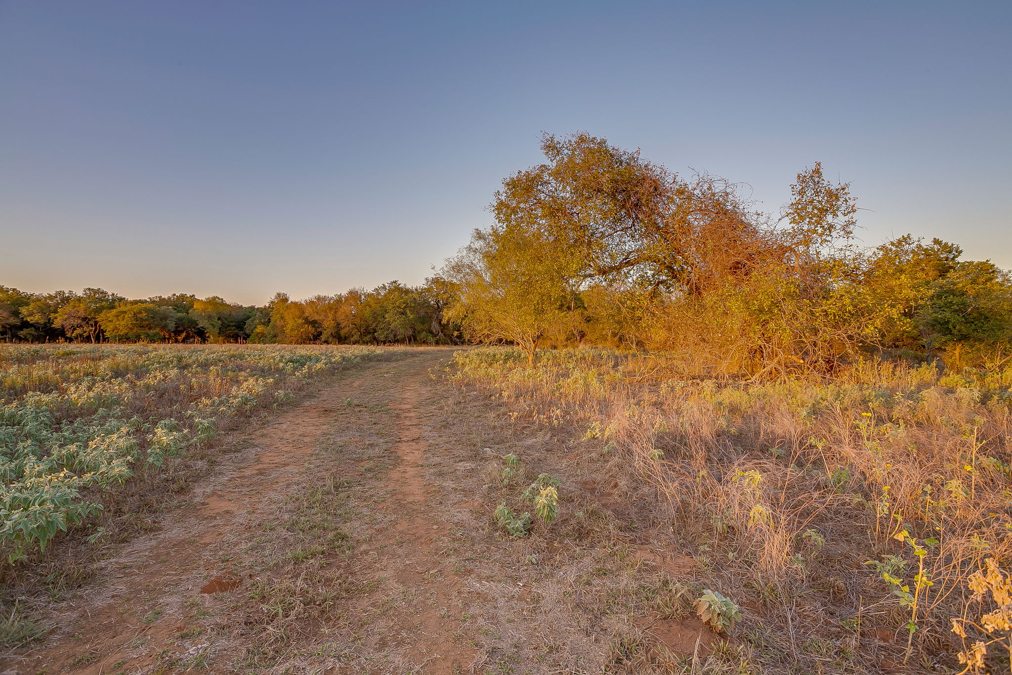 Lot 39 River Canyon, Mineral Wells, TX, 76484 - 物件實景