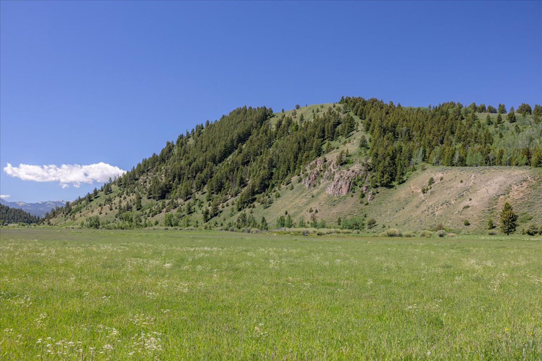  The Mead Ranch - 物件實景