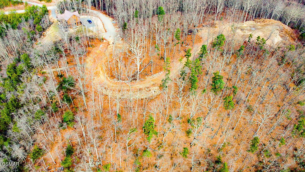 Sevierville, Tennessee, 37876, United States, ,Land,For Sale,2008093