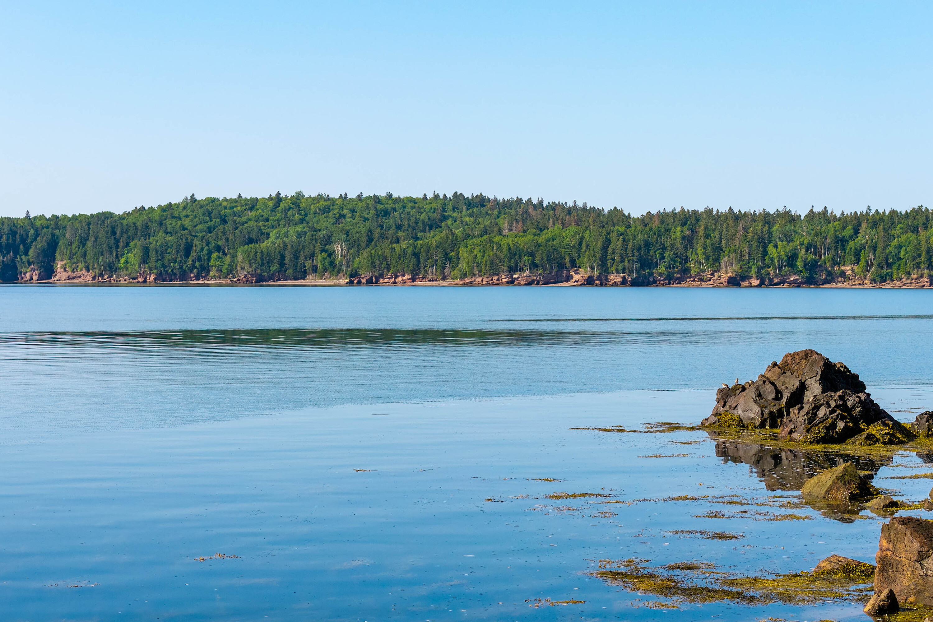  Chamcook, Charlotte County - 物件實景