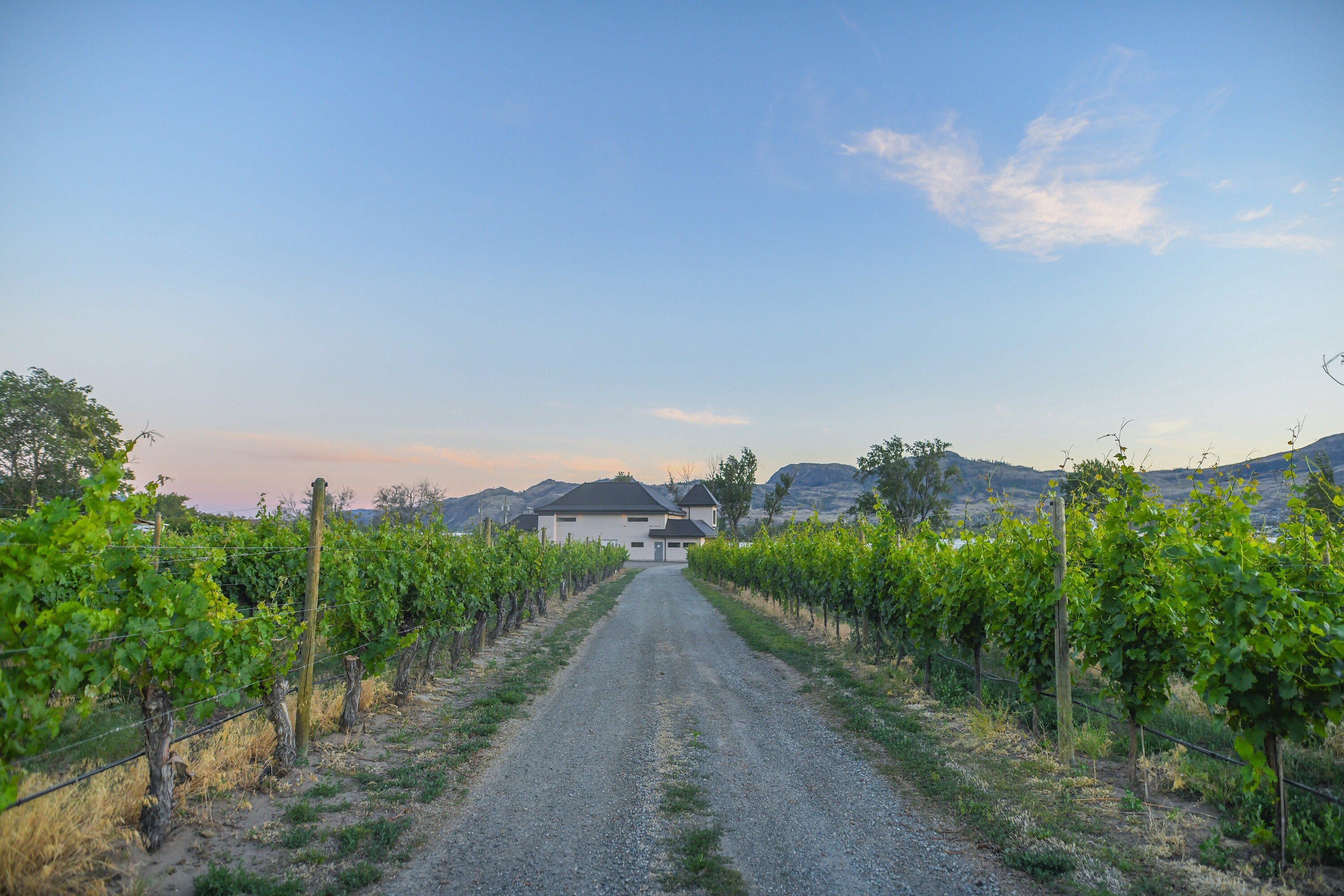  Lakefront Winery Receivership - 物件實景