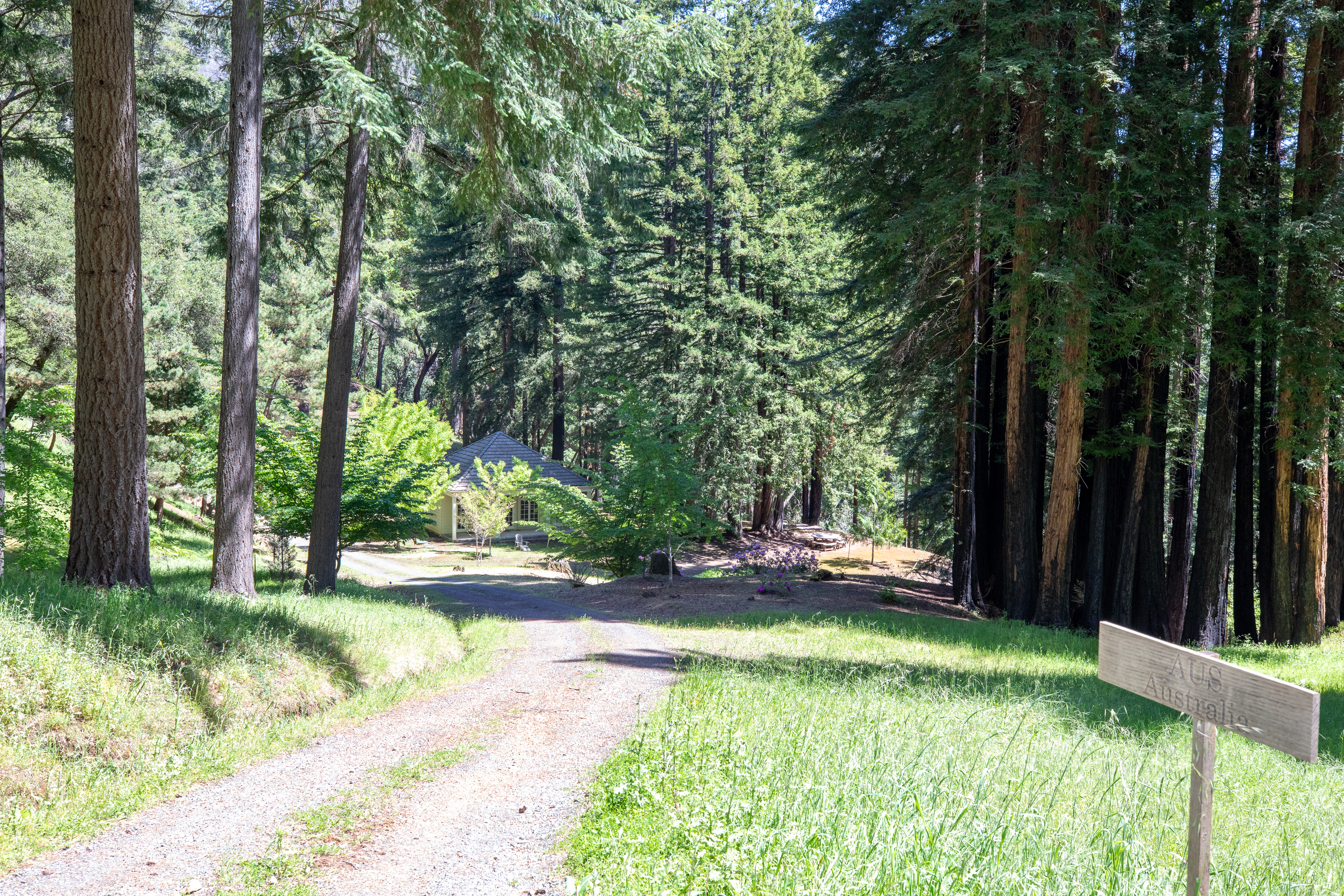  18900 Armstrong Woods Road, Guerneville, CA 95446 - 物件實景