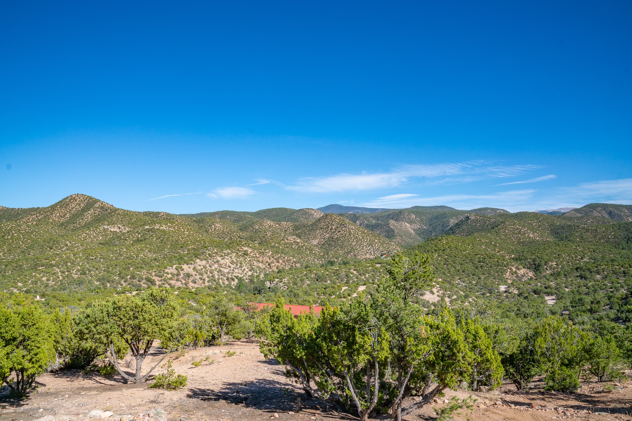  3.5 Acre Lot Camino Del Canon - 物件實景
