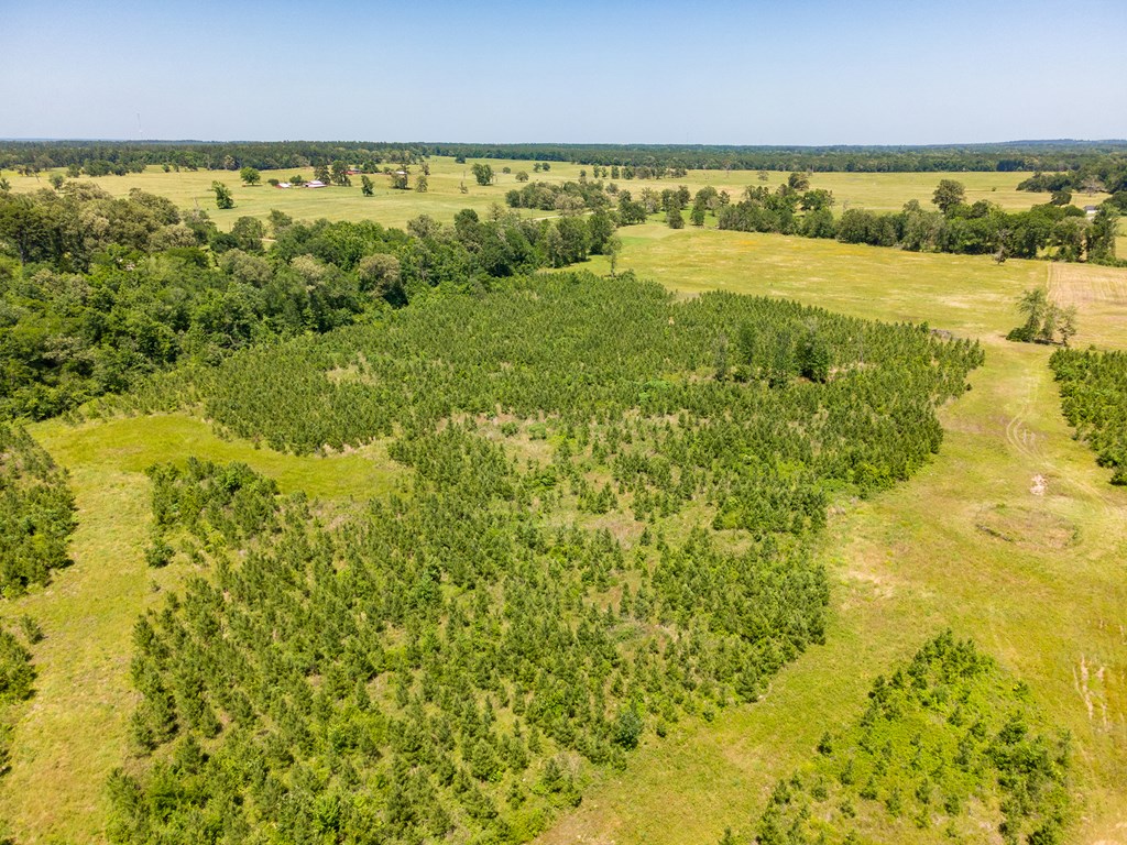 Pollok, Texas, 75969, United States, ,Residential,For Sale,1928088