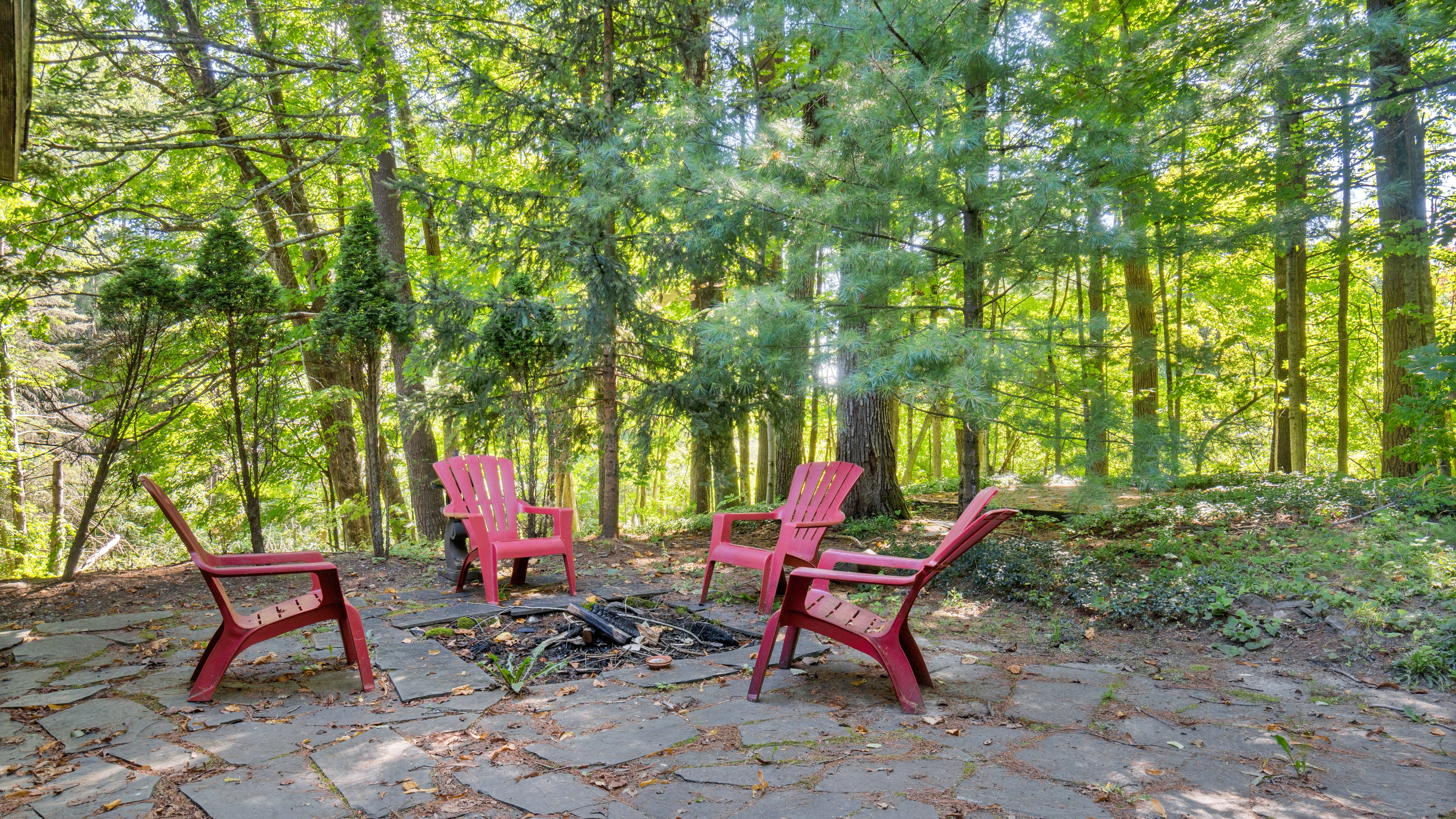  Midcentury Modern Berkshire Retreat Near Laurel Lake & Downtown Lenox - 物件實景