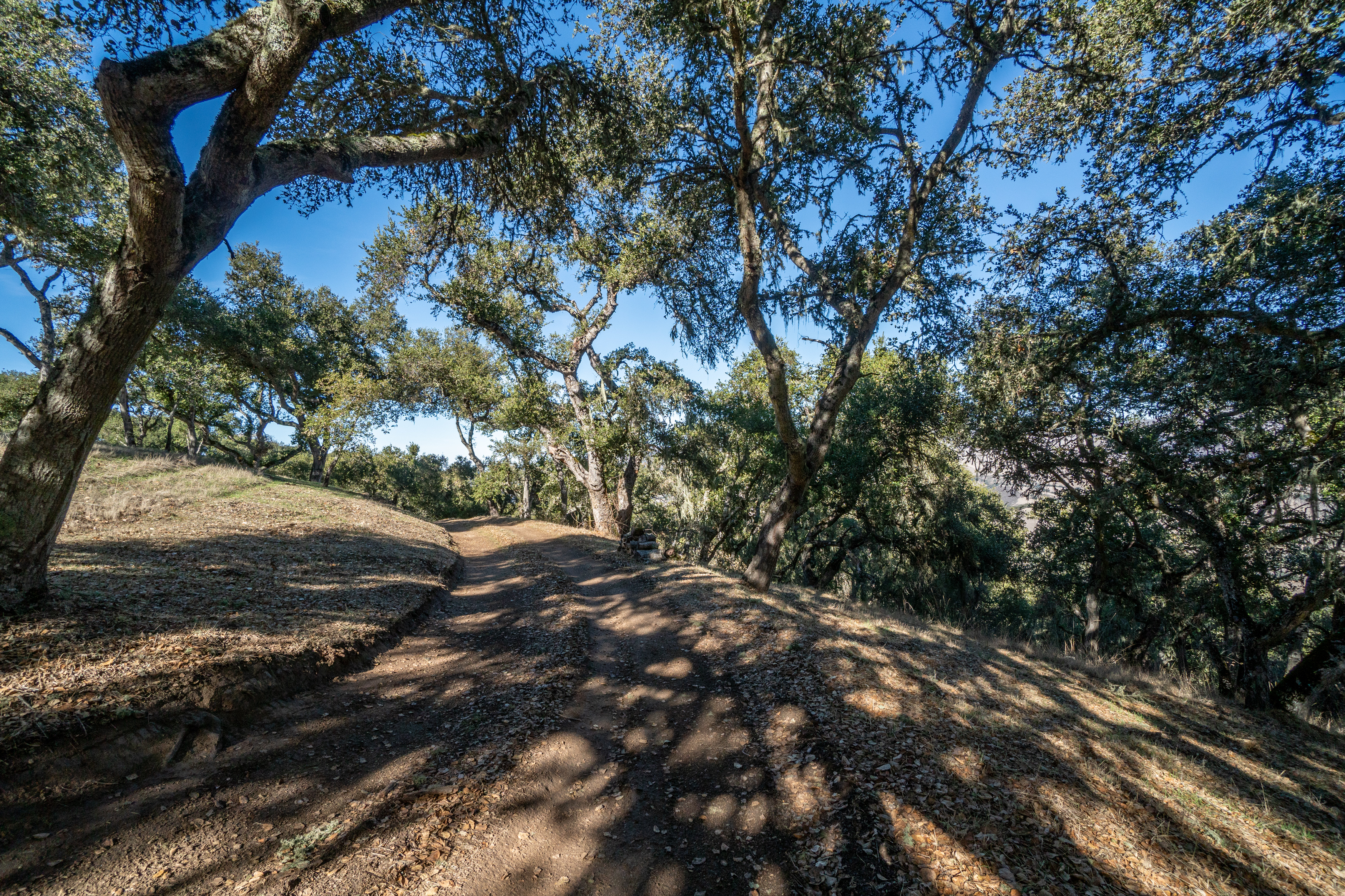  17114 Cachagua Road - 物件實景