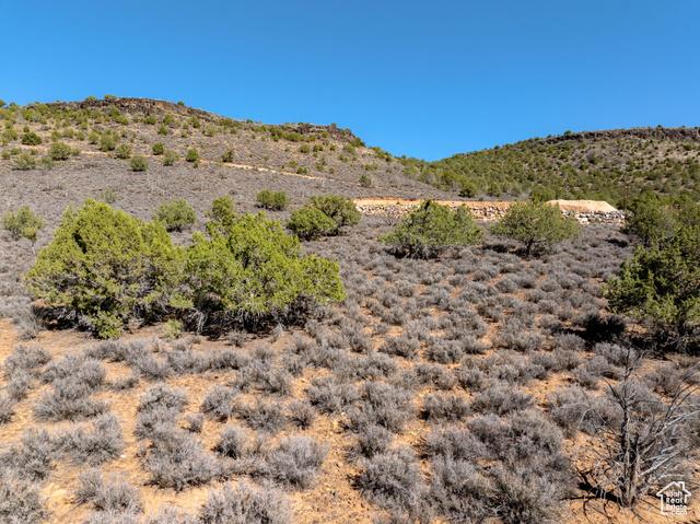 Diamond Valley, Utah, 84770, United States, ,Residential,For Sale,1982151