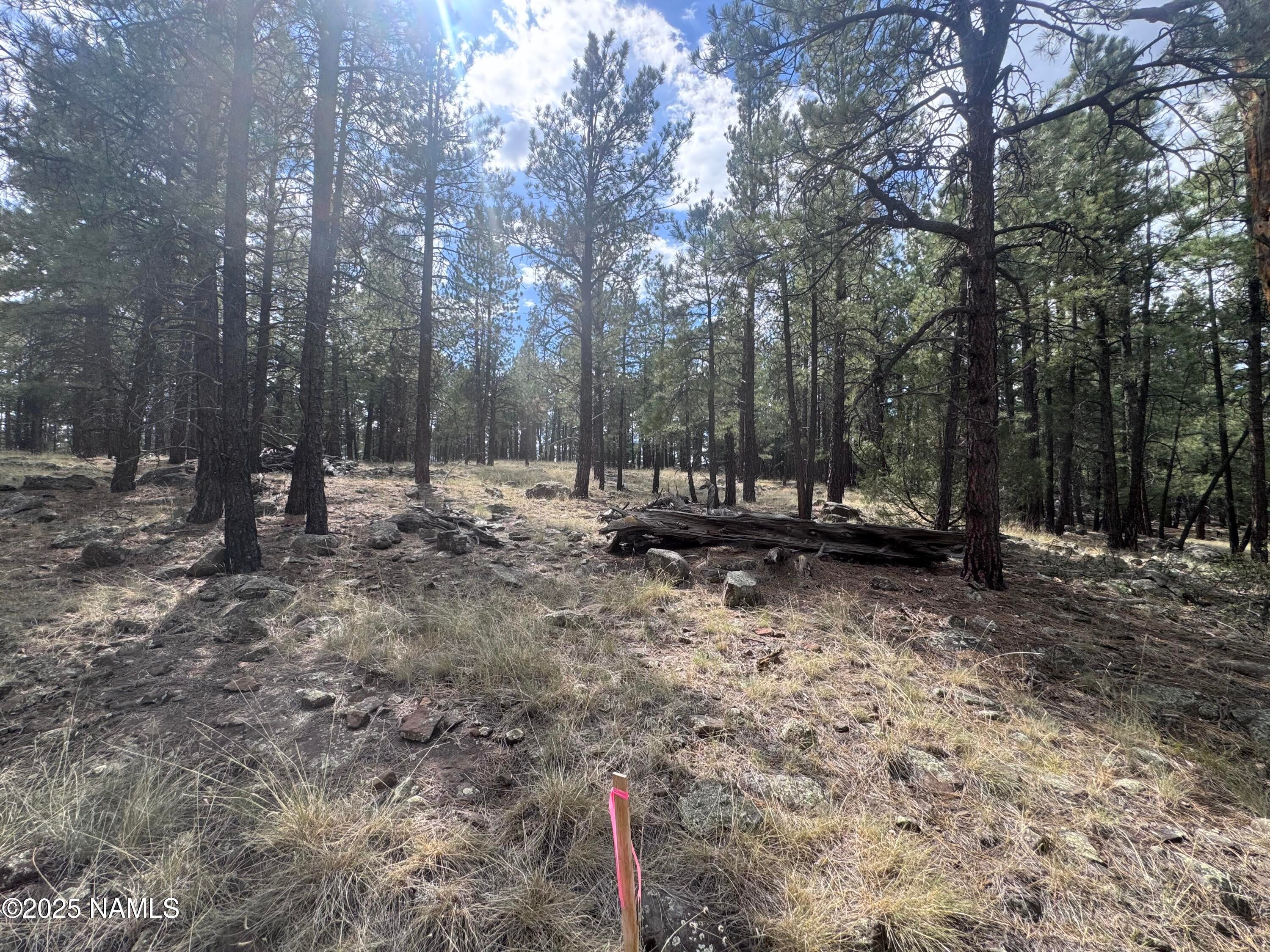 Flagstaff, Arizona, 86001, United States, ,Land,For Sale,1948051