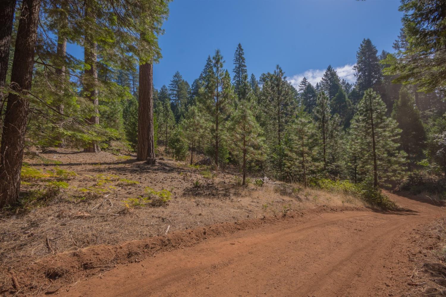 Pollock Pines, California, 95726, United States, ,Residential,For Sale,1982906