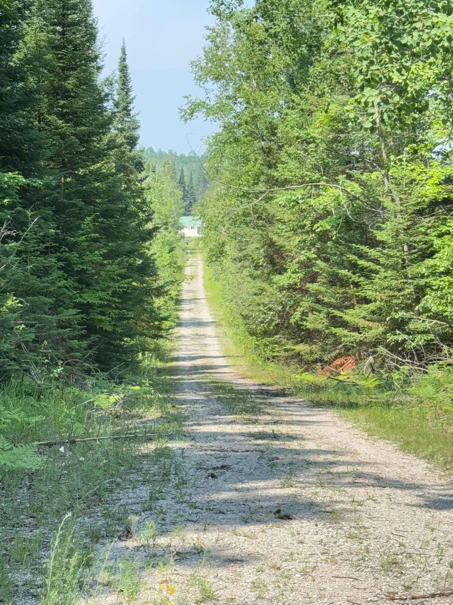 Wolverine, Michigan, 49799, United States, 2 Bedrooms Bedrooms, ,2 BathroomsBathrooms,Residential,For Sale,1885505