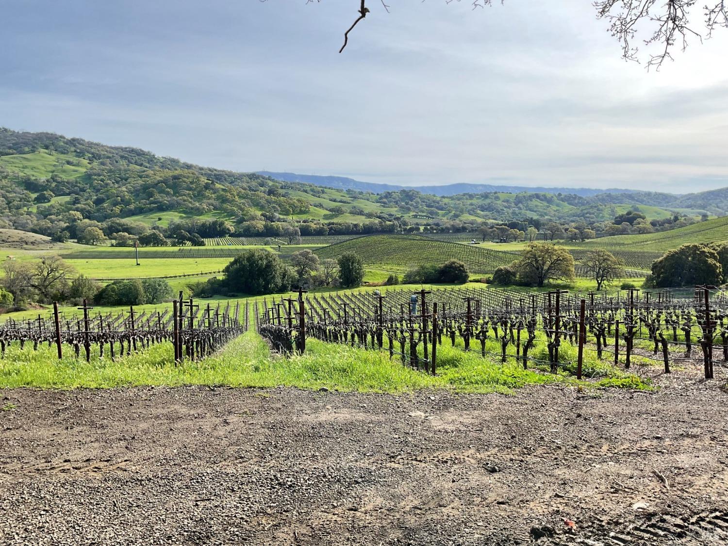 Napa, California, 94558, United States, 3 Bedrooms Bedrooms, ,3 BathroomsBathrooms,Residential,For Sale,1991897