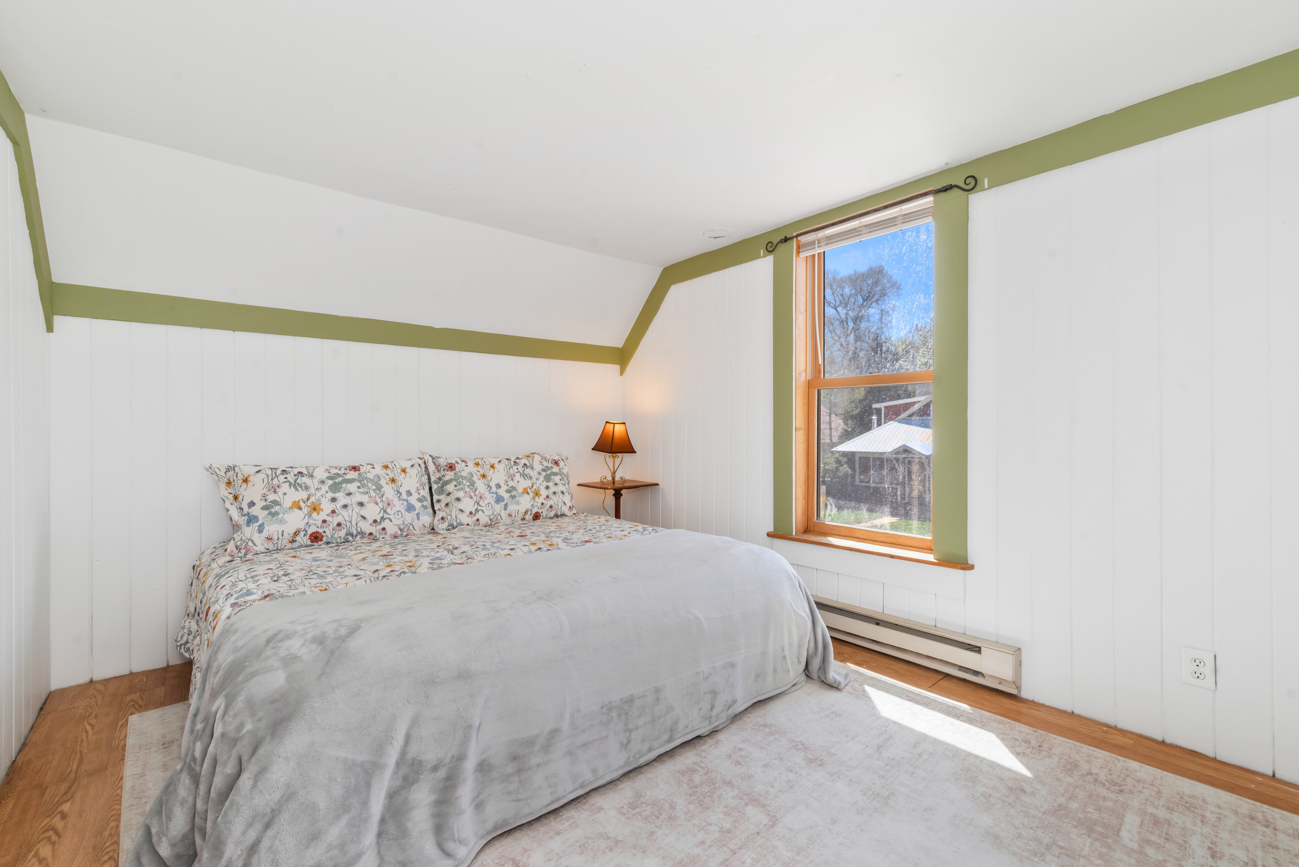  234 Hill Street, Steamboat Springs, CO 80487 - 物件實景