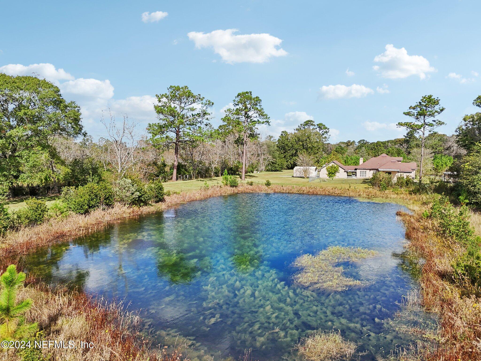 Jacksonville, Florida, 32219, United States, ,Land,For Sale,1875310