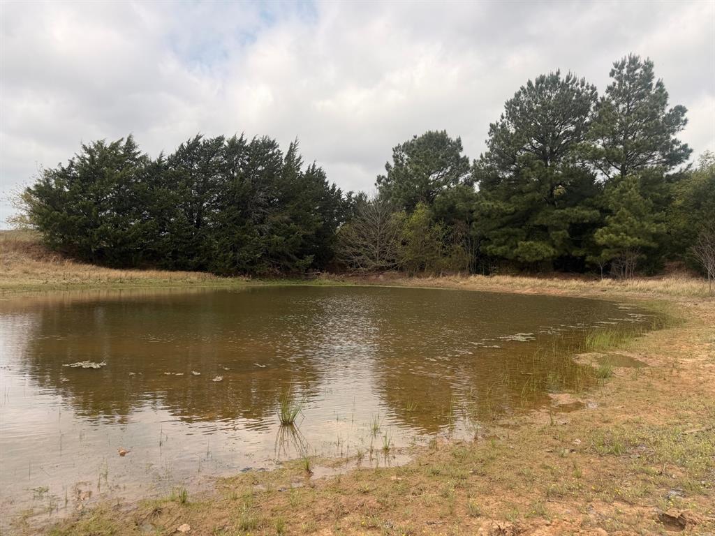 Alvord, Texas, 76225, United States, 2 Bedrooms Bedrooms, ,2 BathroomsBathrooms,Residential,For Sale,2033233