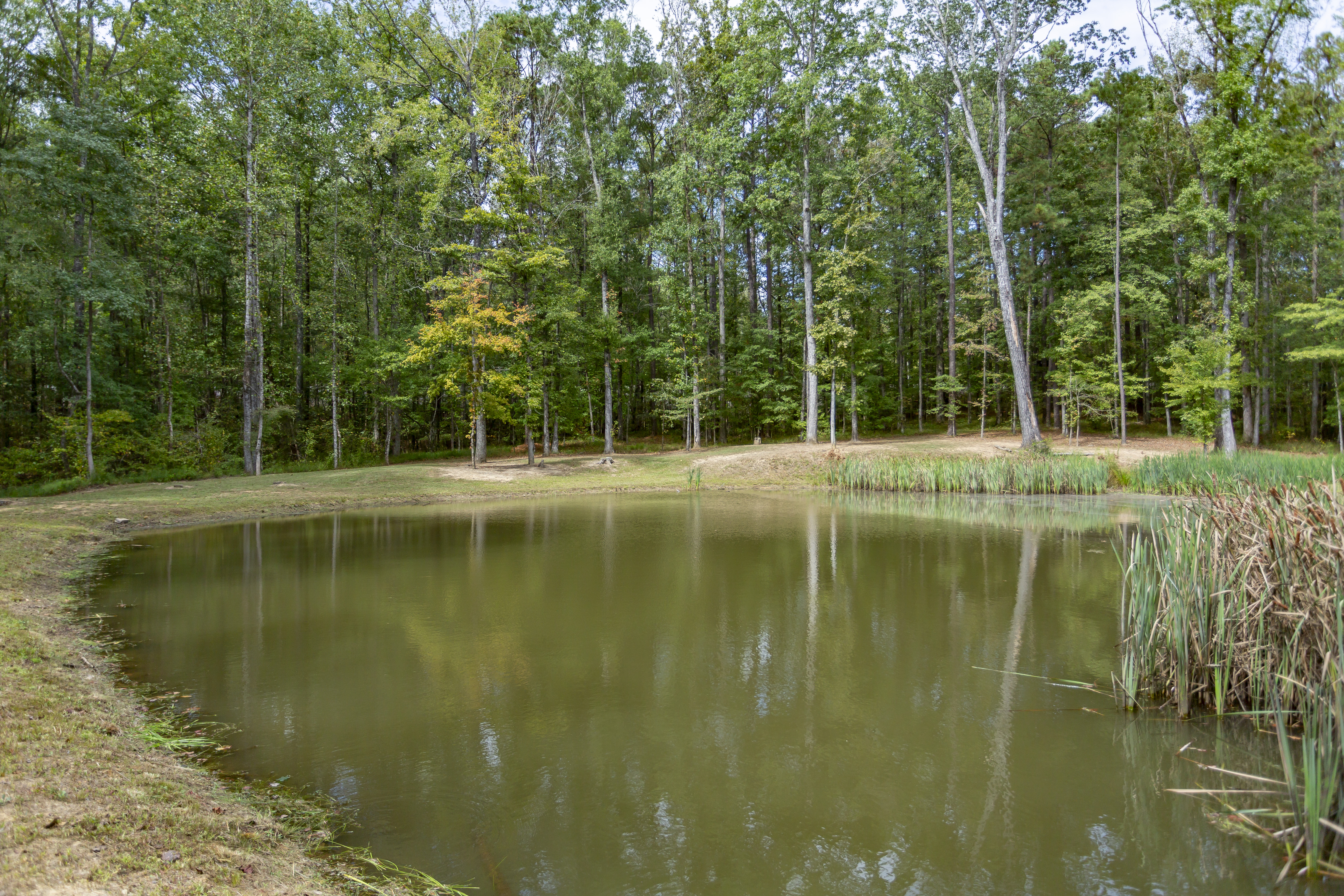 Helena, Alabama, 35080, United States, 5 Bedrooms Bedrooms, ,5 BathroomsBathrooms,Residential,For Sale,1979427