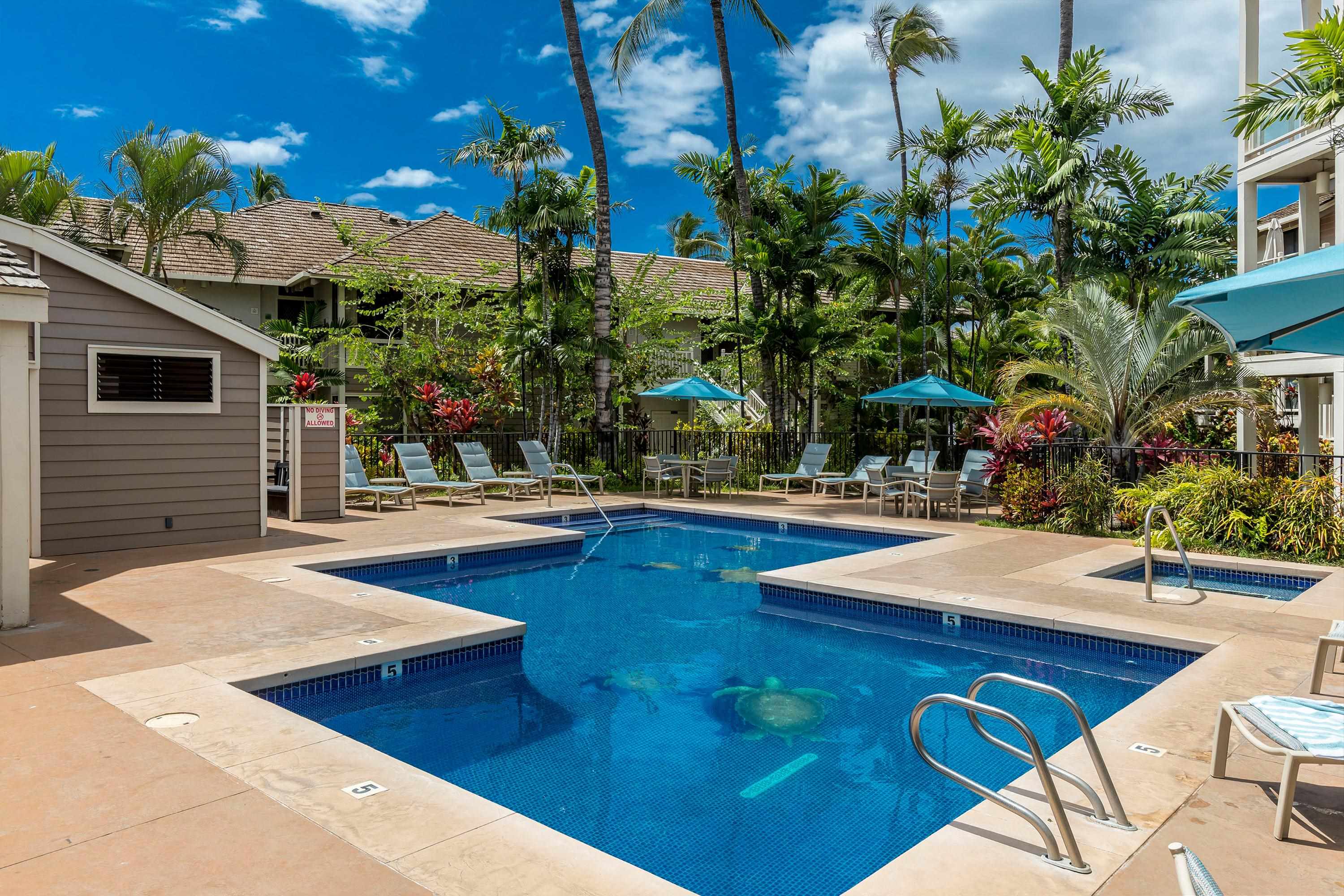 Kihei, Hawaii, 96753, United States, 2 Bedrooms Bedrooms, ,2 BathroomsBathrooms,Residential,For Sale,1793001