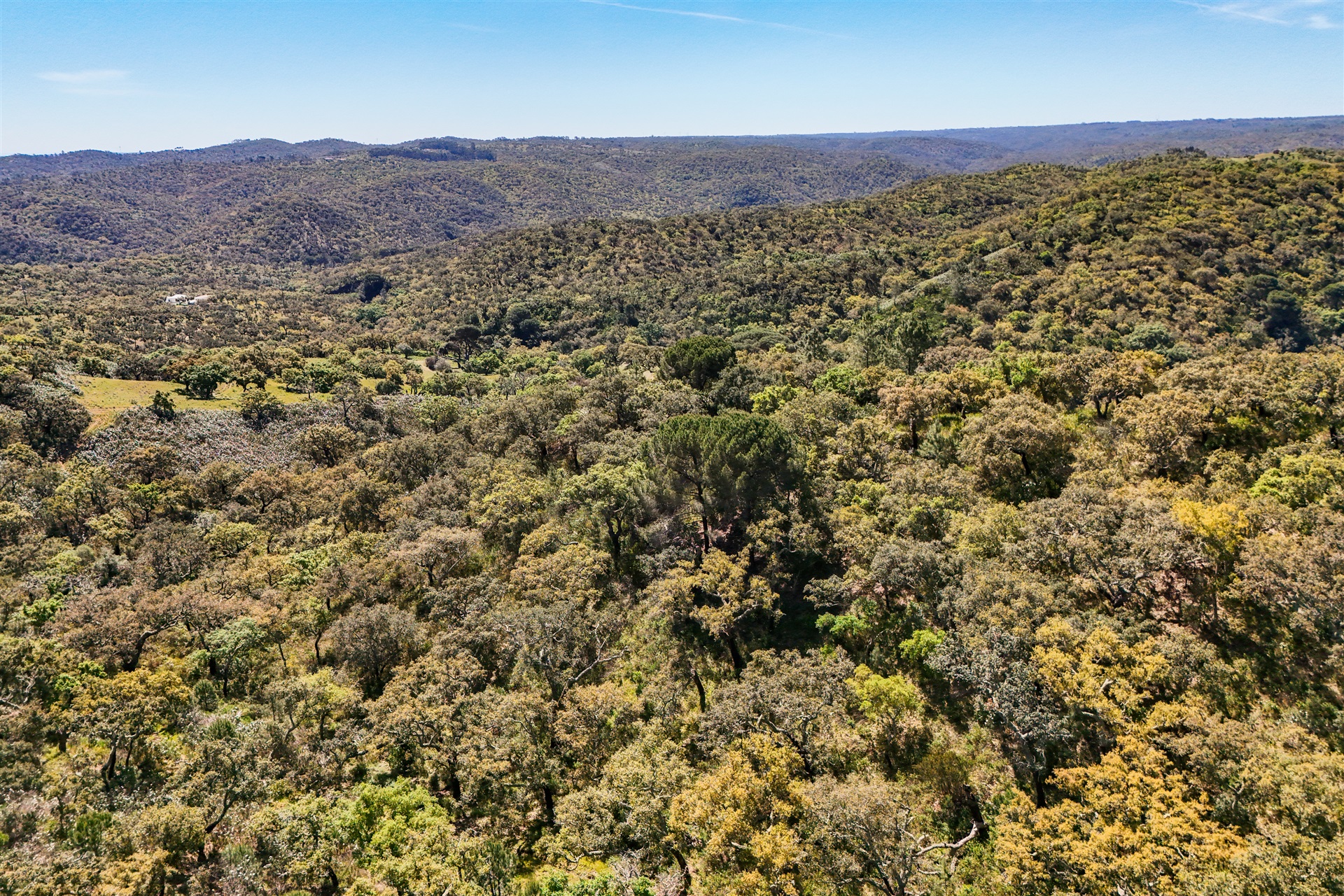  Real estate land for Sale - 物件實景