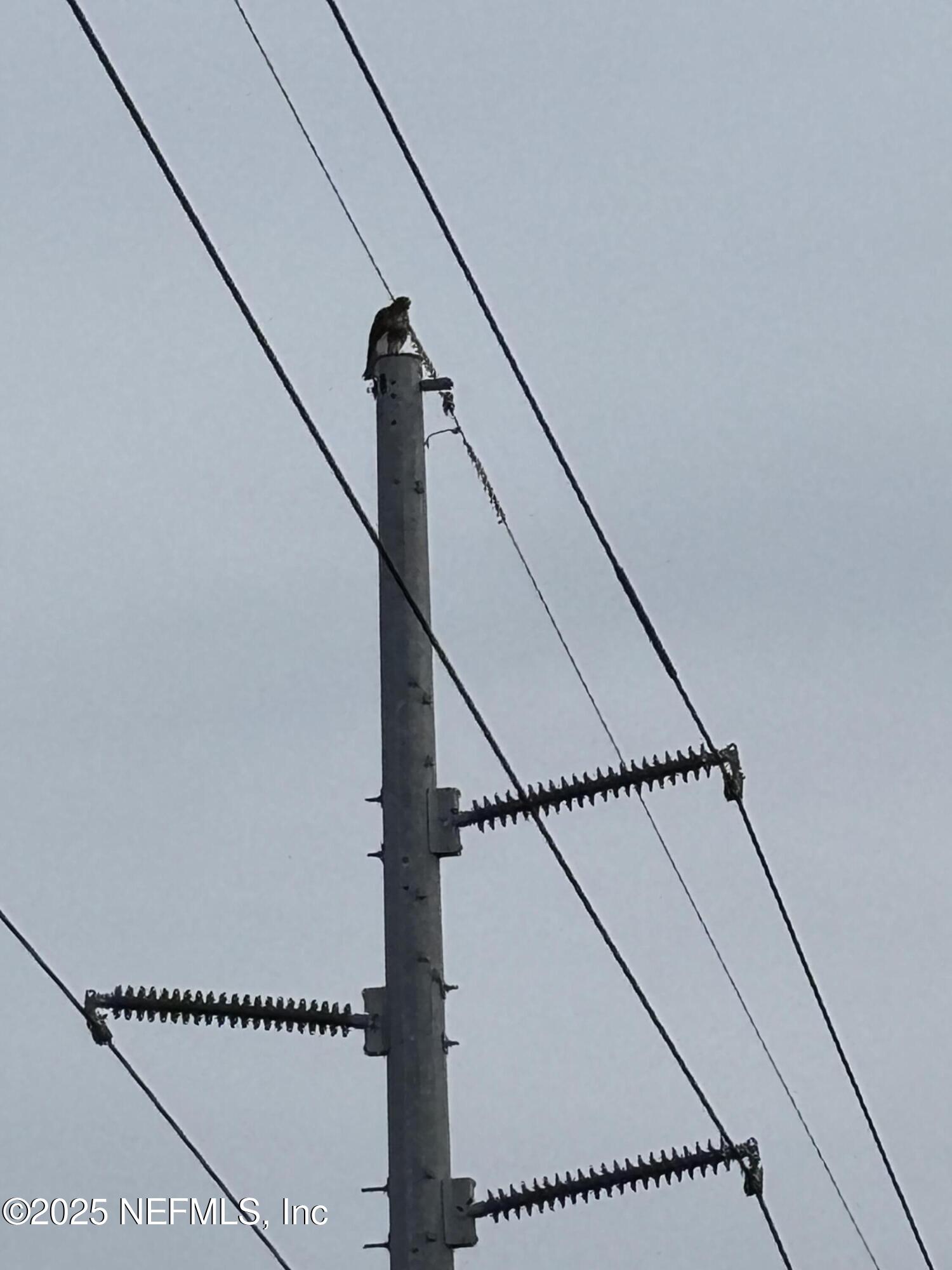 Apopka, Florida, 32712, United States, ,Land,For Sale,1993065