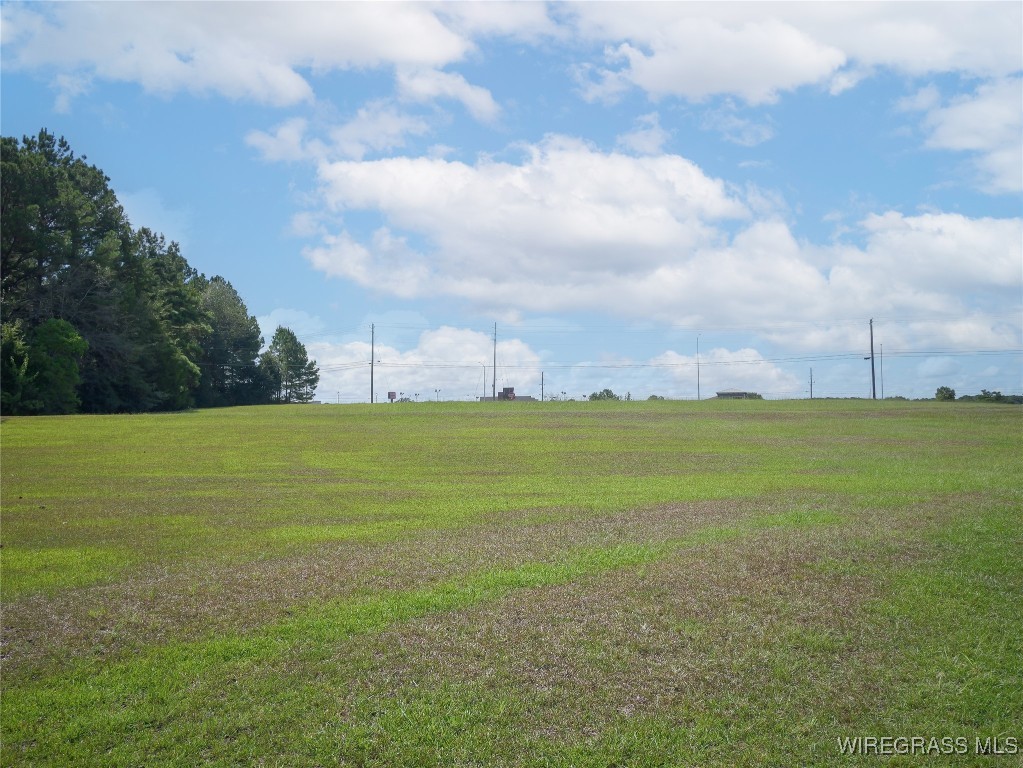Enterprise, Alabama, 36330, United States, ,Land,For Sale,1981048