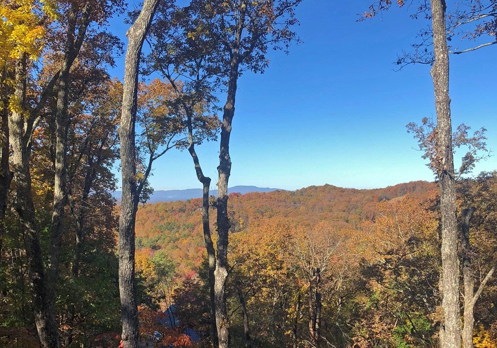 Morganton, Georgia, 30560, United States, 3 Bedrooms Bedrooms, ,3 BathroomsBathrooms,Residential,For Sale,2001916