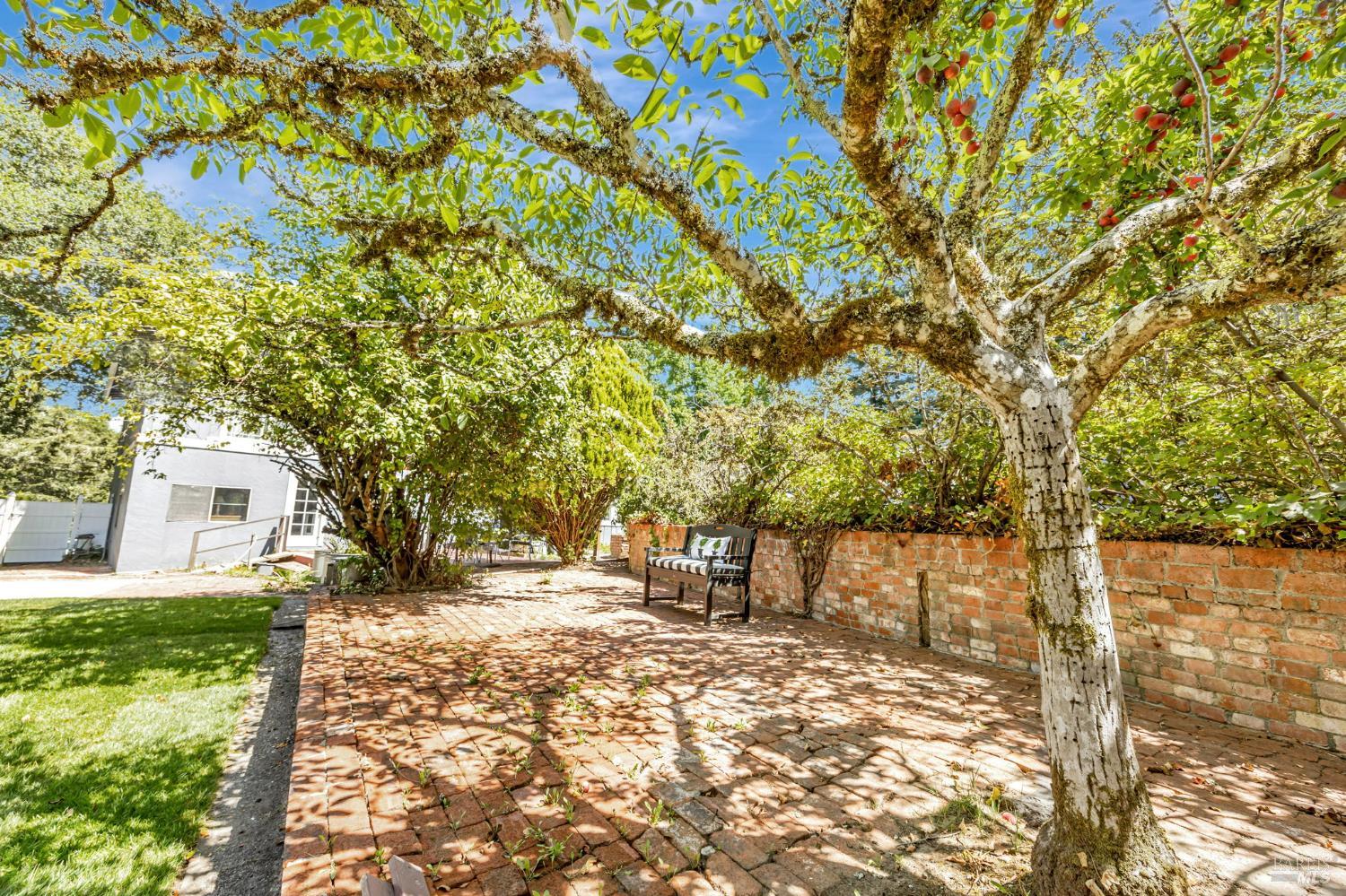 Sebastopol, California, 95472, United States, 3 Bedrooms Bedrooms, ,3 BathroomsBathrooms,Residential,For Sale,1903540