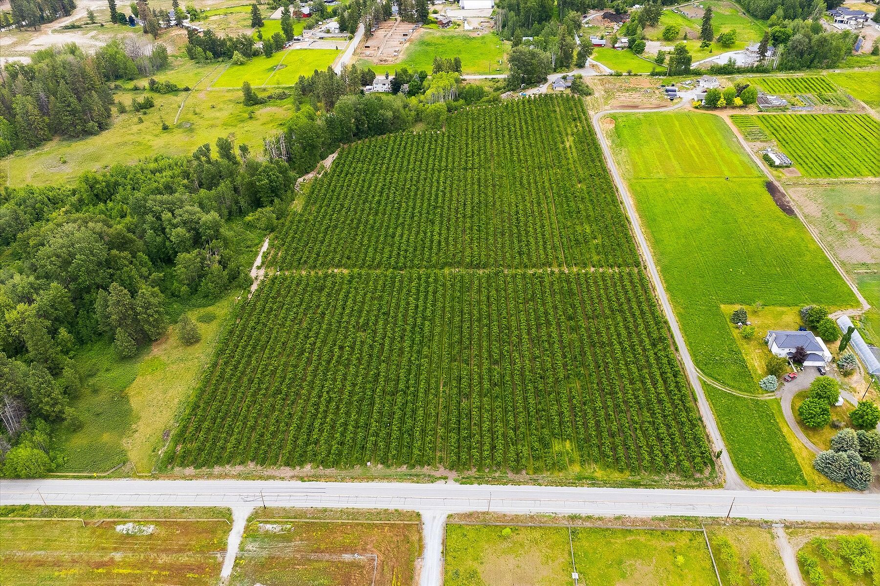  17.66 Acre Cherry Orchard - 物件實景