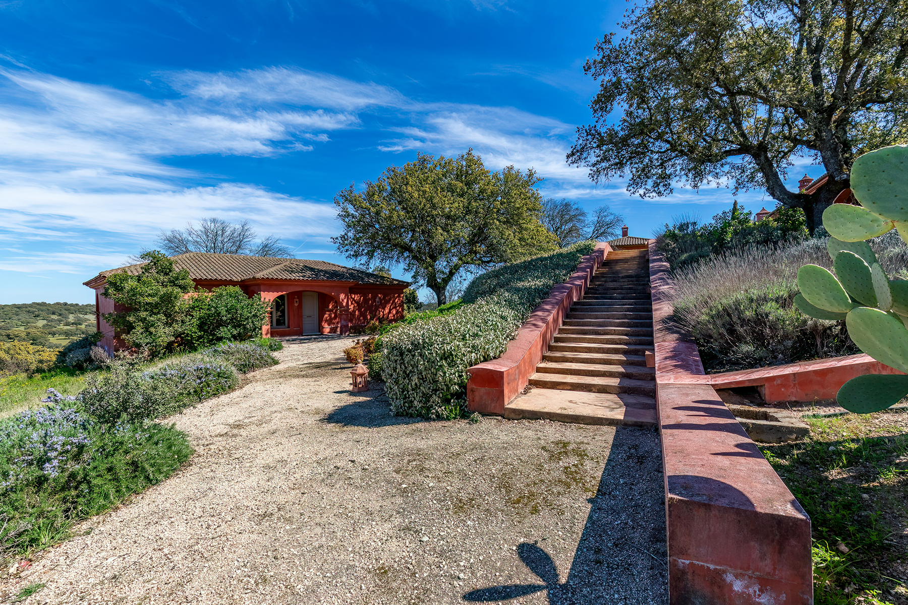  Dehesa los Cuartos estate in Extremadura with 217 hectares - 物件實景