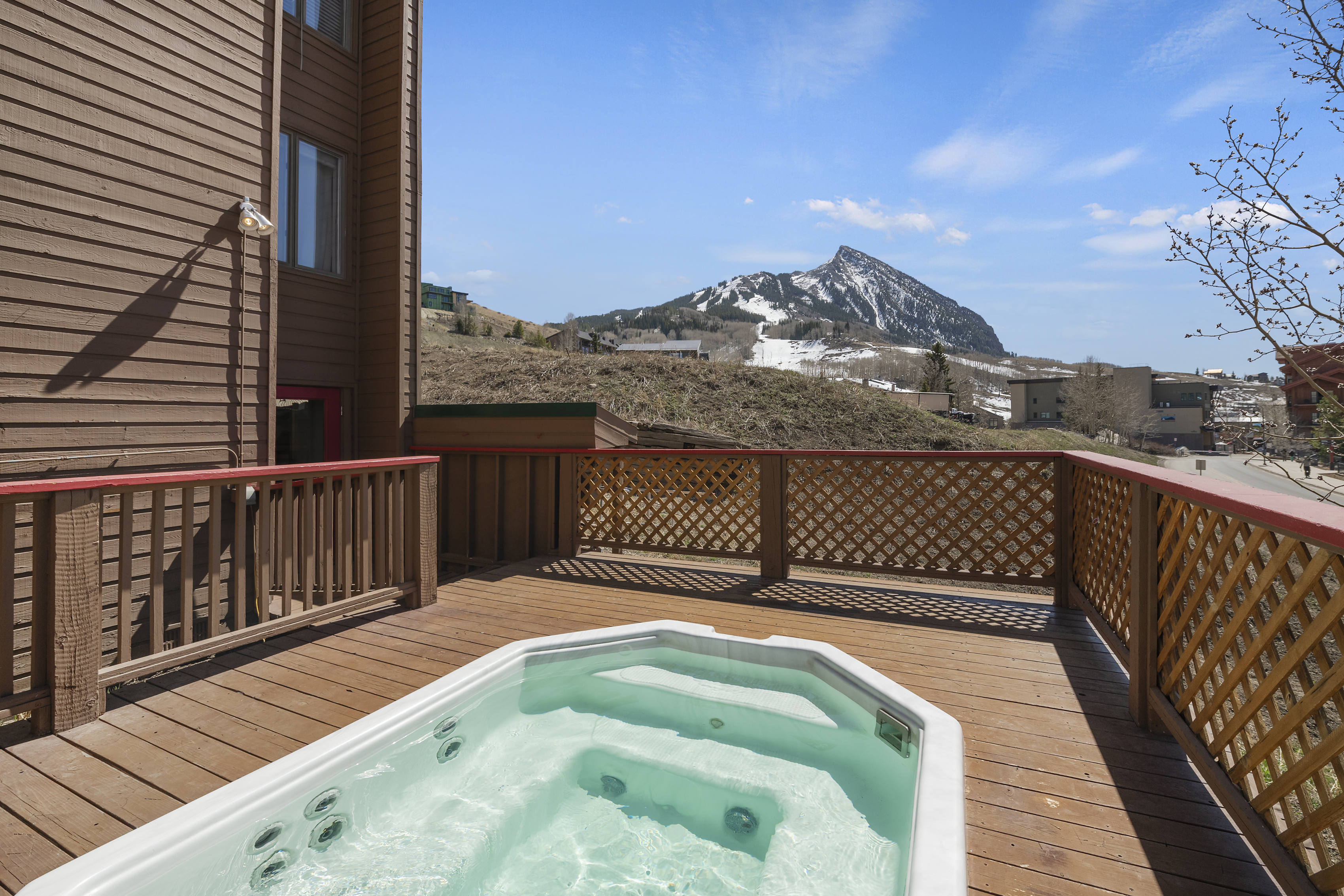  25 Emmons Road, Mt. Crested Butte, CO, 81225 - 物件實景