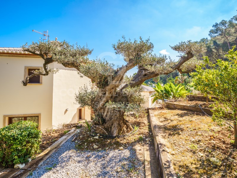 Alicante, J?vea / X?bia, Monta?ar-El Arenal Alican, Jávea / Xàbia, Comunidad Valenciana, ES, 4 Bedrooms Bedrooms, ,4 BathroomsBathrooms,Residential,For Sale,Alicante, J?vea / X?bia, Monta?ar-El Arenal Alican,1511138