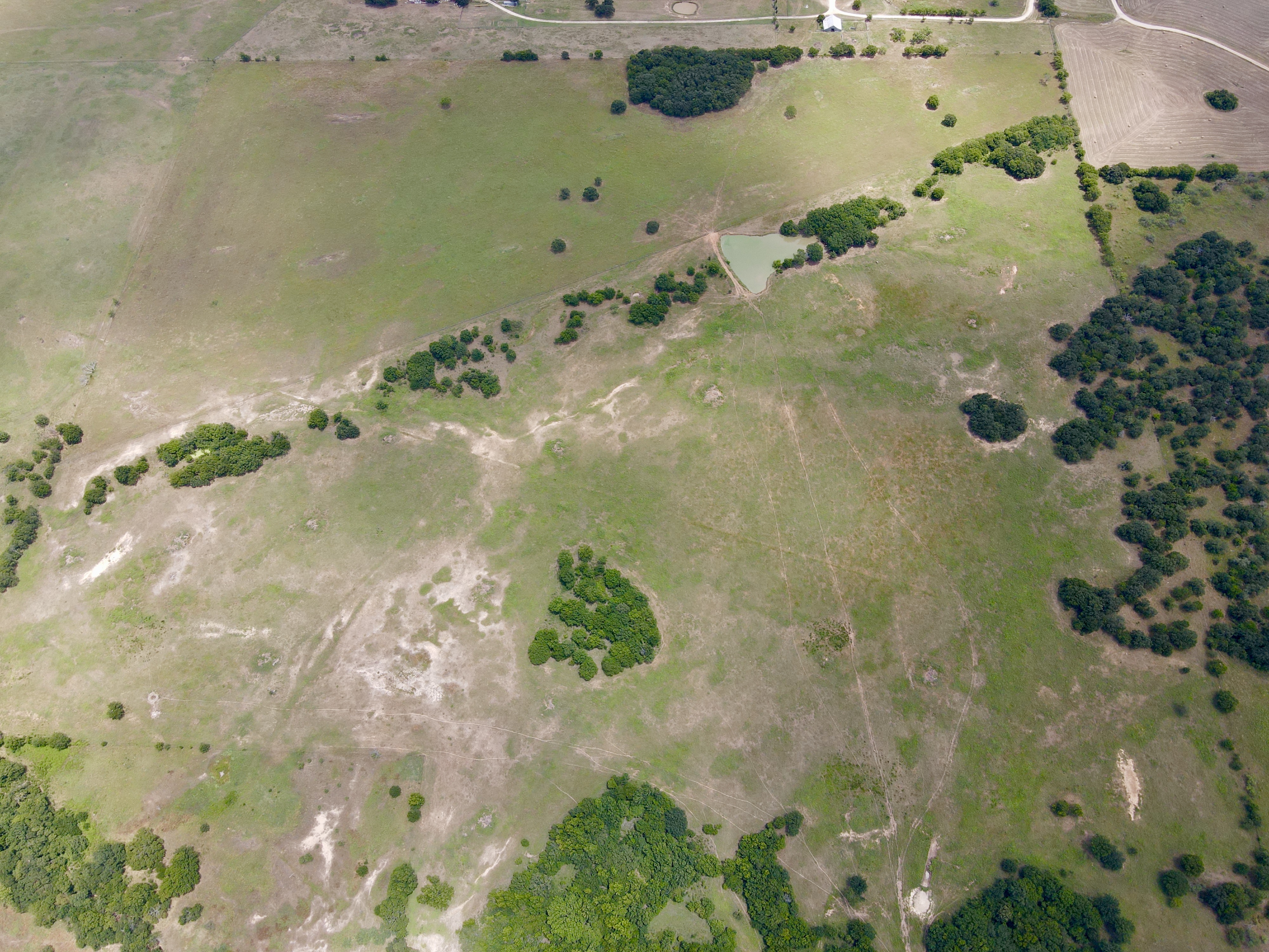 TBD Hwy 103, Nocona, Texas, 76255, United States, ,Residential,For Sale,TBD Hwy 103,1295999
