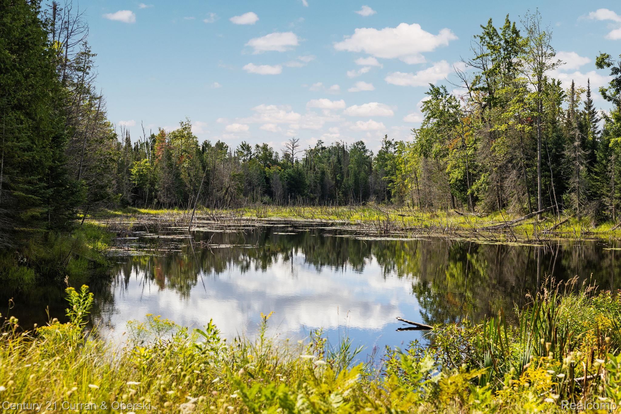 Onaway, Michigan, 49765, United States, 4 Bedrooms Bedrooms, ,2 BathroomsBathrooms,Residential,For Sale,1980098