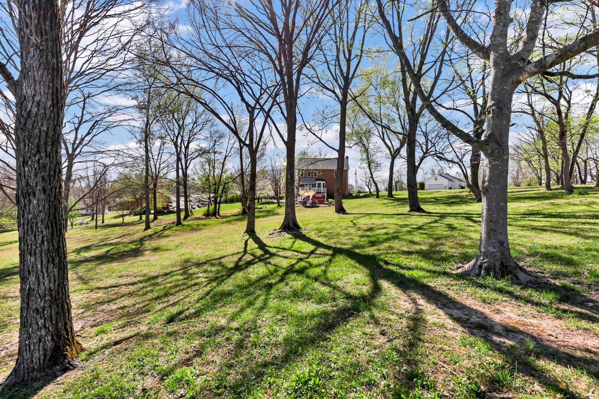 Adams, Tennessee, 37010, United States, 3 Bedrooms Bedrooms, ,3 BathroomsBathrooms,Residential,For Sale,2033502