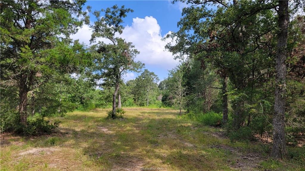 Franklin, Texas, 77856, United States, 4 Bedrooms Bedrooms, ,4 BathroomsBathrooms,Residential,For Sale,1693389
