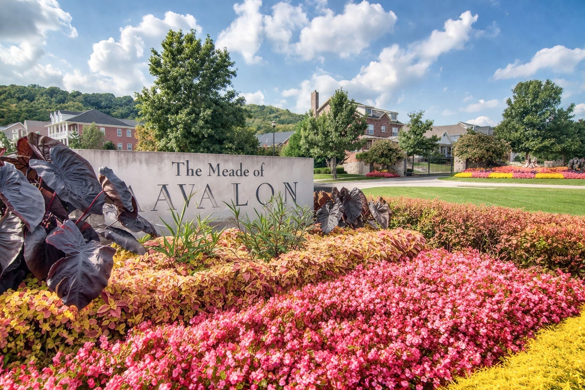  127 Pennystone Circle, Franklin, TN 37067 - 物件實景
