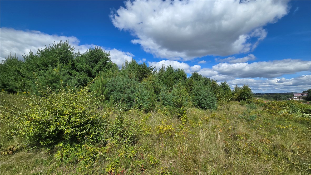 Chippewa Falls, Wisconsin, 54729, United States, ,Land,For Sale,1941721