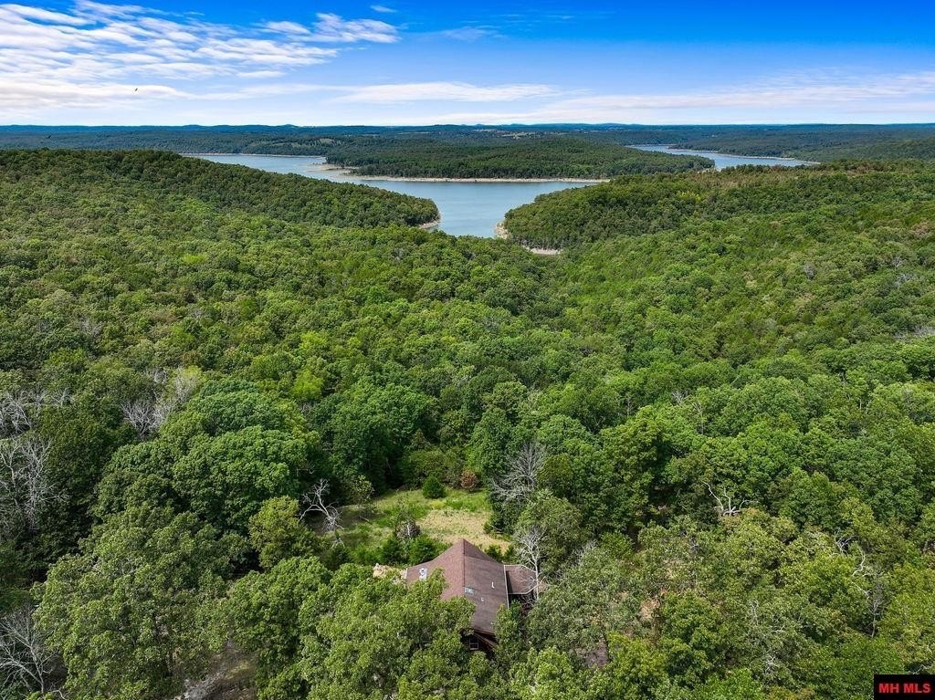 Gamaliel, Arkansas, 72537, United States, 3 Bedrooms Bedrooms, ,3 BathroomsBathrooms,Residential,For Sale,1937546