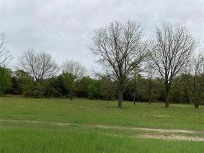 Track 1 County Road 1589, Chico, Texas, 76431, United States, ,Land,For Sale,Track 1 County Road 1589,1612611