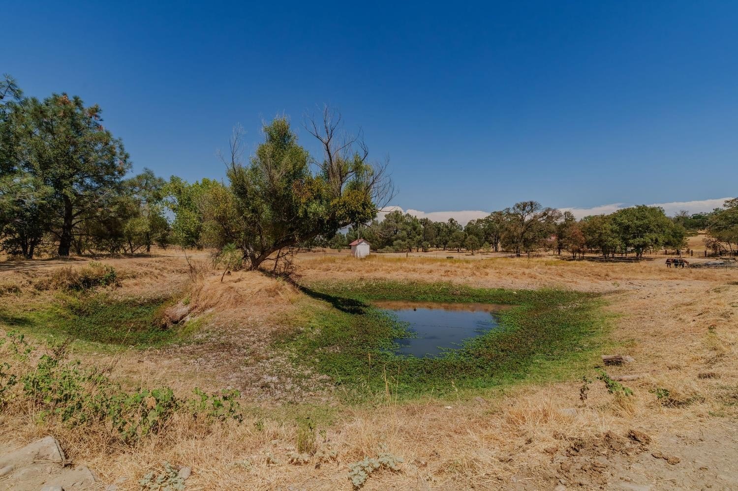 Valley Springs, California, 95252, United States, 3 Bedrooms Bedrooms, ,2 BathroomsBathrooms,Residential,For Sale,1979453