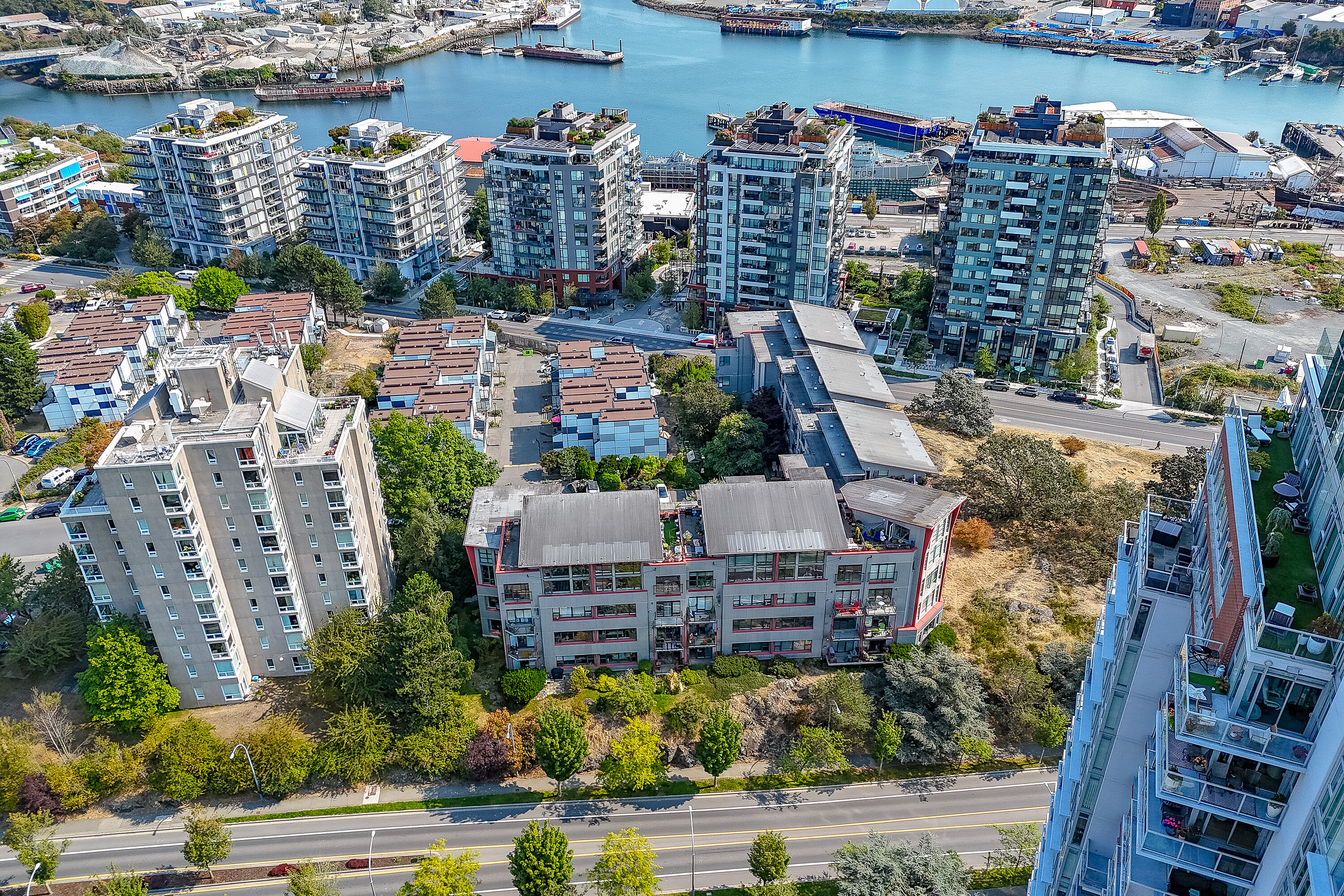  The Edge in Popular Vic West - 物件實景