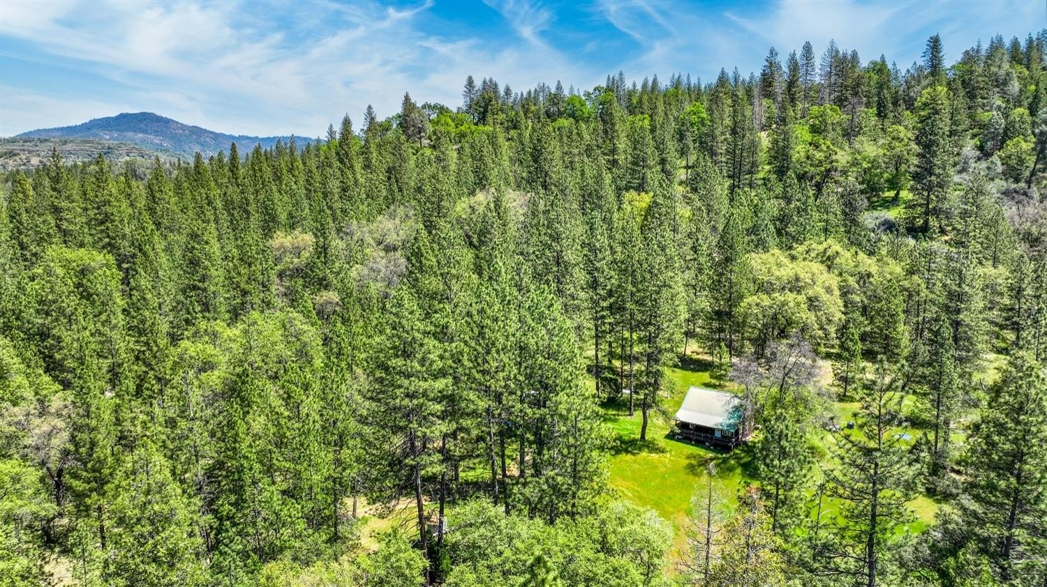 Mountain Ranch, California, 95246, United States, 1 Bedroom Bedrooms, ,1 BathroomBathrooms,Residential,For Sale,1921601
