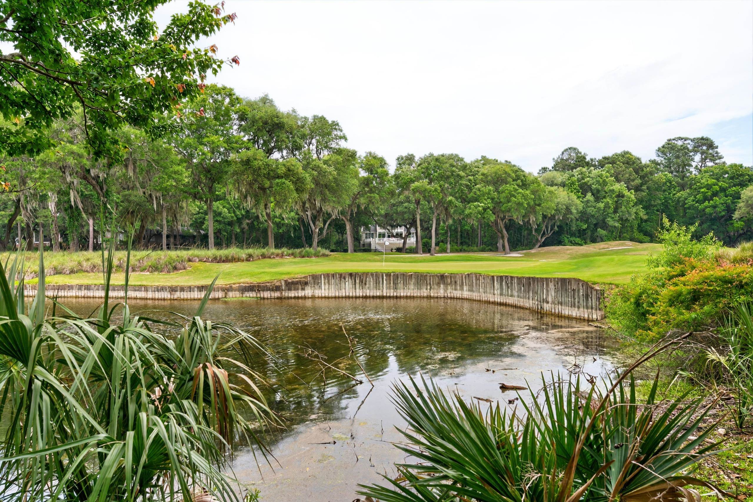  193 Summerwood Lane  DeBordieu Colony - 物件實景