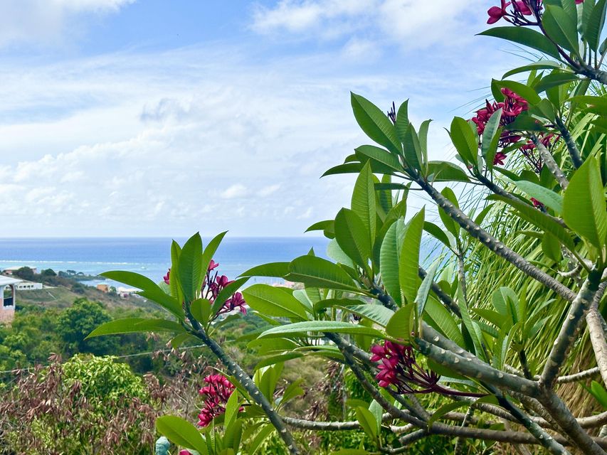 St. Croix, Virgin Islands, 00820, VI, 4 Bedrooms Bedrooms, ,2 BathroomsBathrooms,Residential,For Sale,1794963