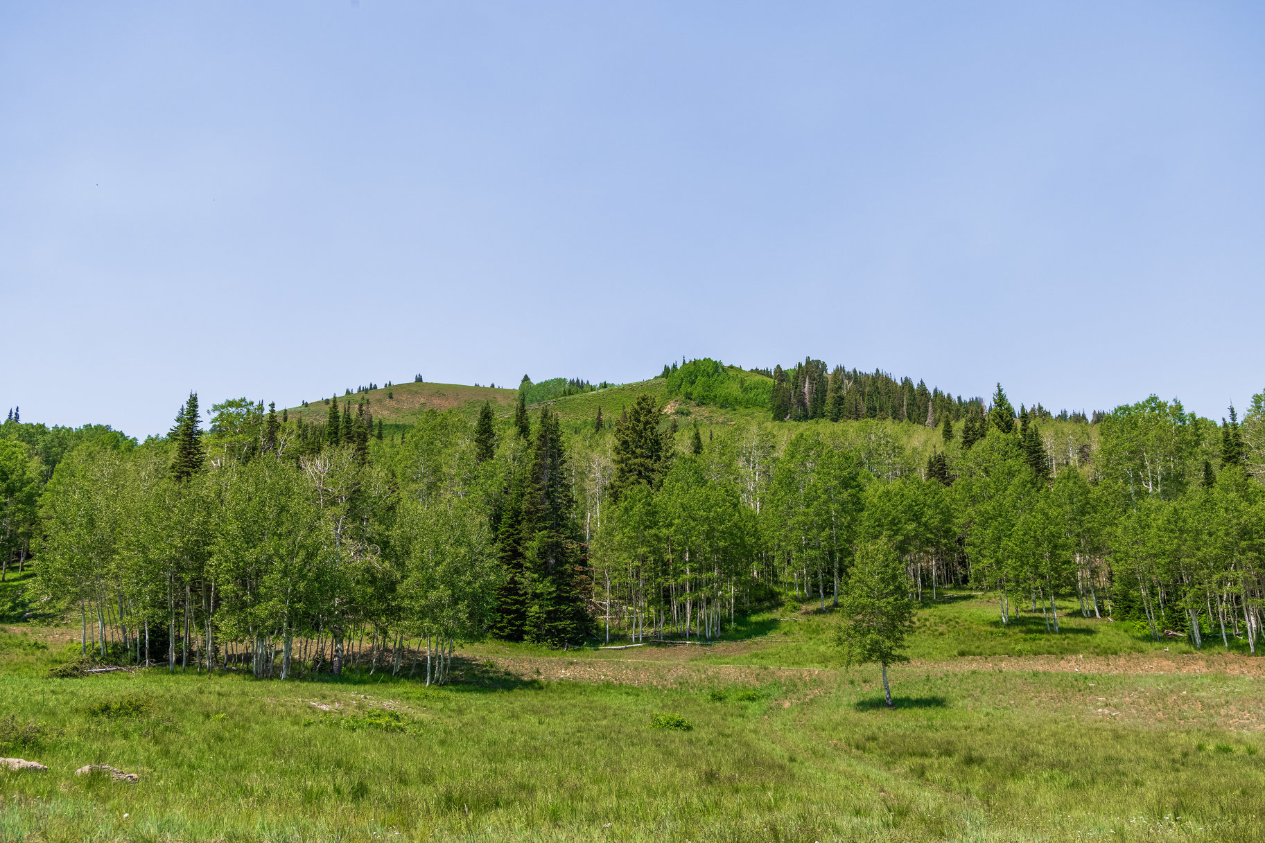  Incredible 28 Acre Estate Lot in the Colony at White Pine Canyon - 物件實景
