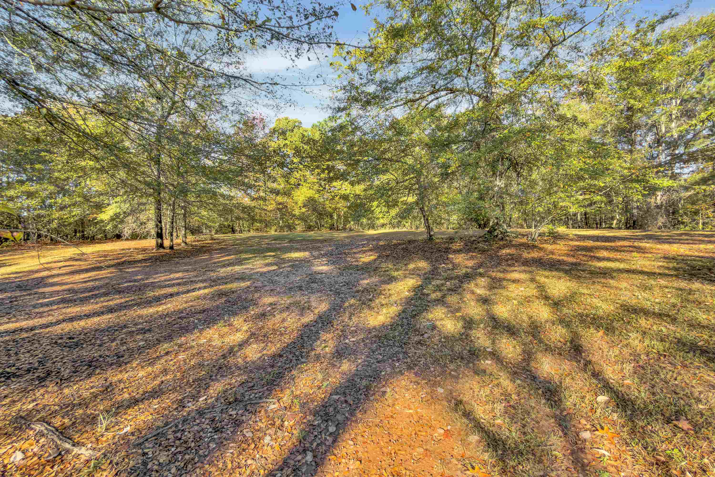 Woodruff, South Carolina, 29388, United States, 3 Bedrooms Bedrooms, ,2 BathroomsBathrooms,Residential,For Sale,1985035