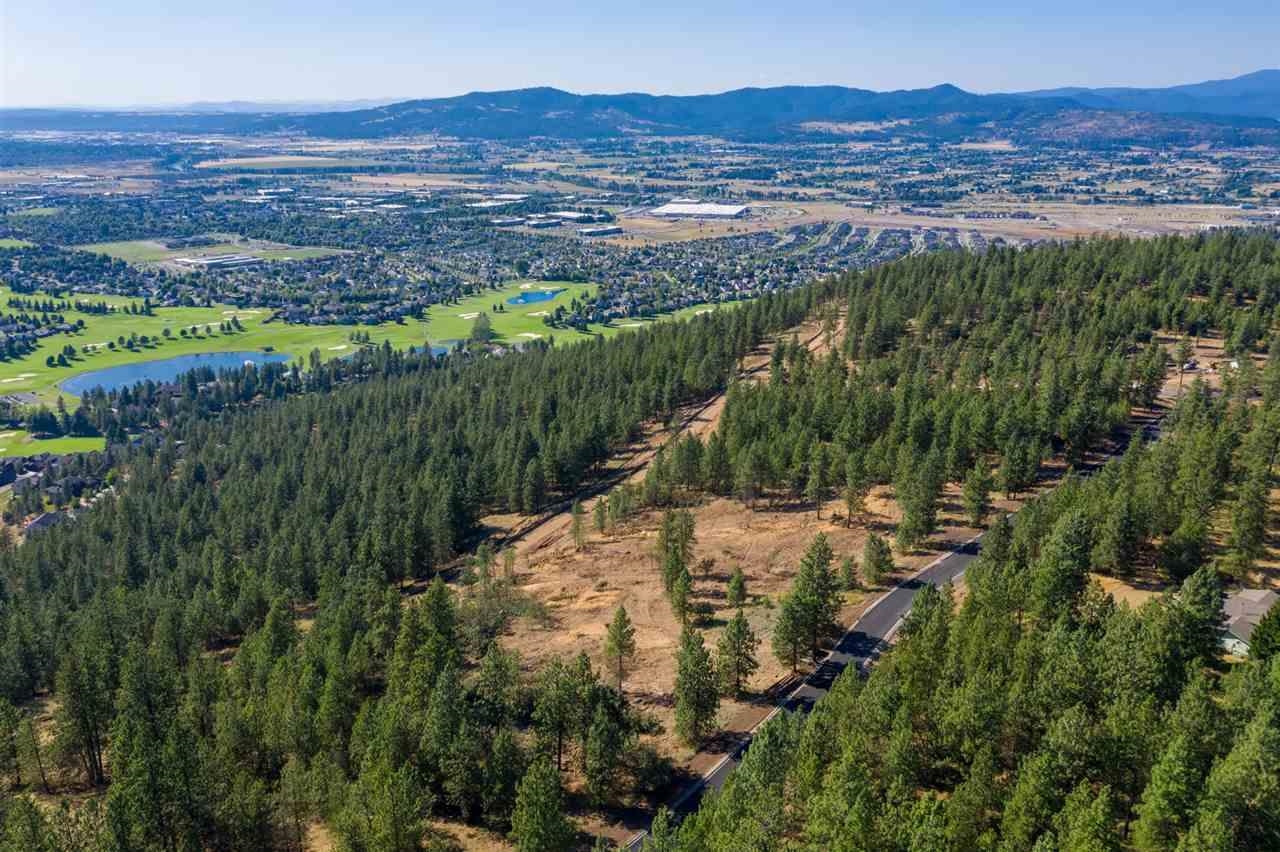 Liberty Lake, Washington, 99019, United States, ,Land,For Sale,1973818