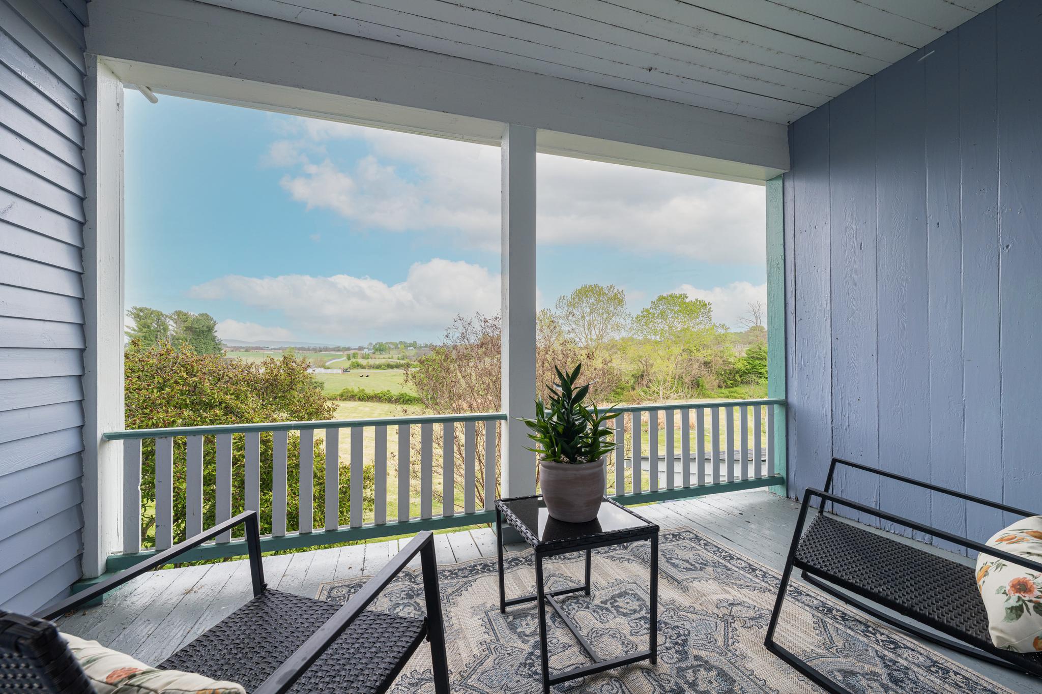  3691 Conicville Road, Mount Jackson, VA, 22842 - 物件實景