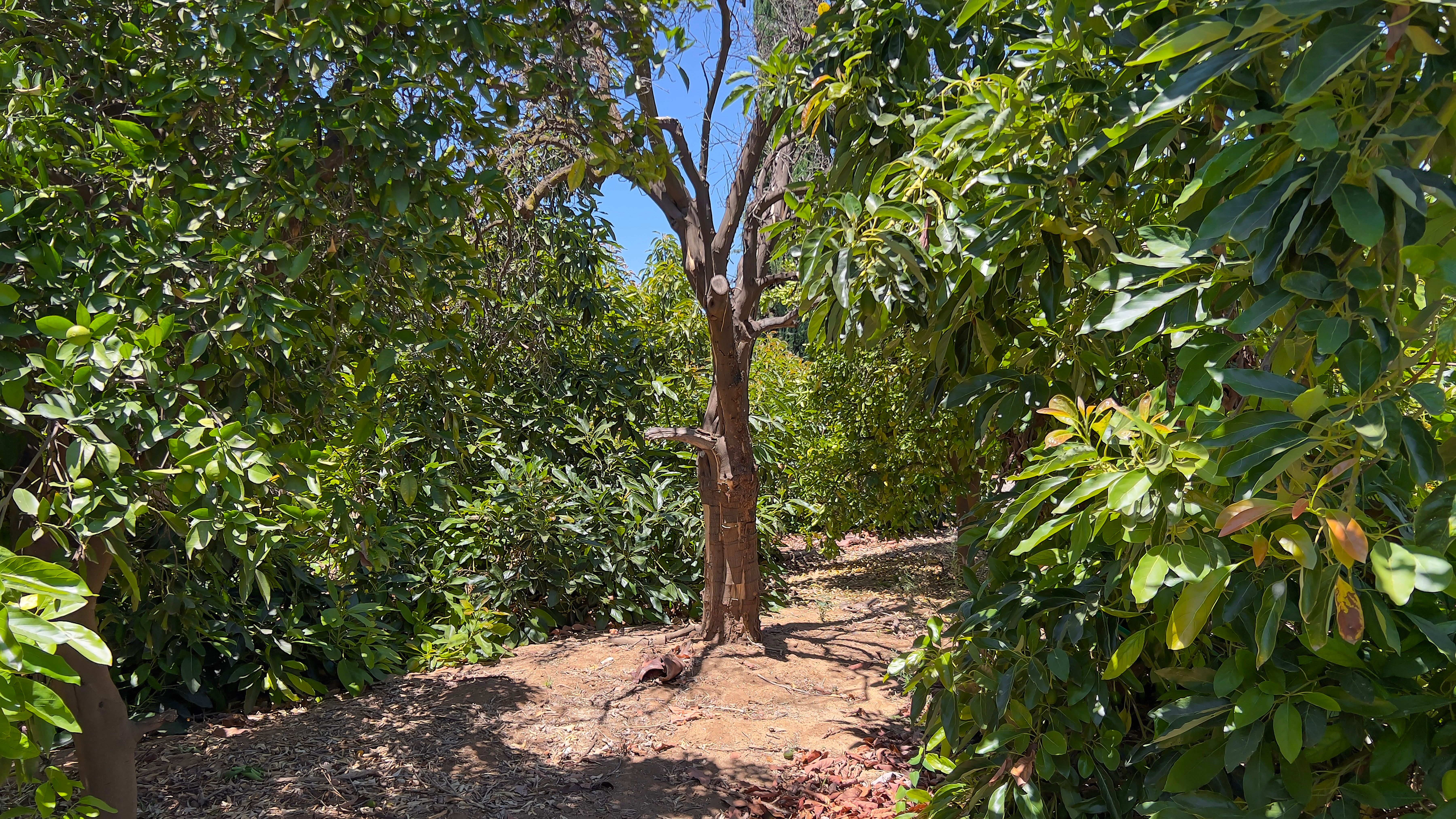  8715 Dufferin Avenue, Riverside, CA 92504 - 物件實景